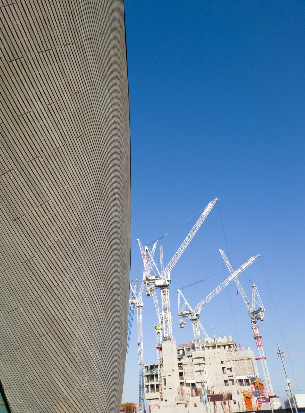 Aqua cranes