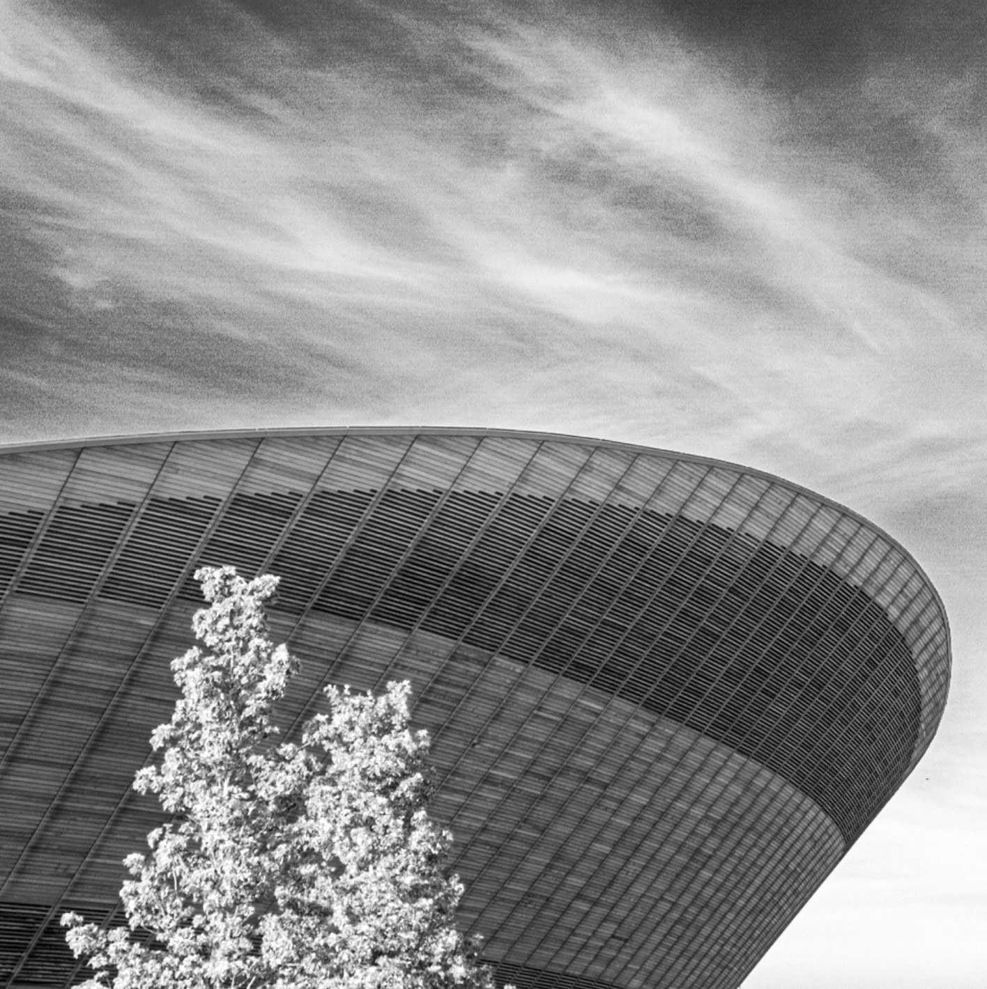 Bw velodrome
