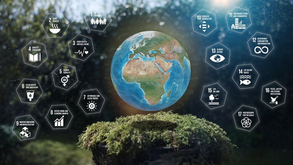 Shutterstock 2477798577