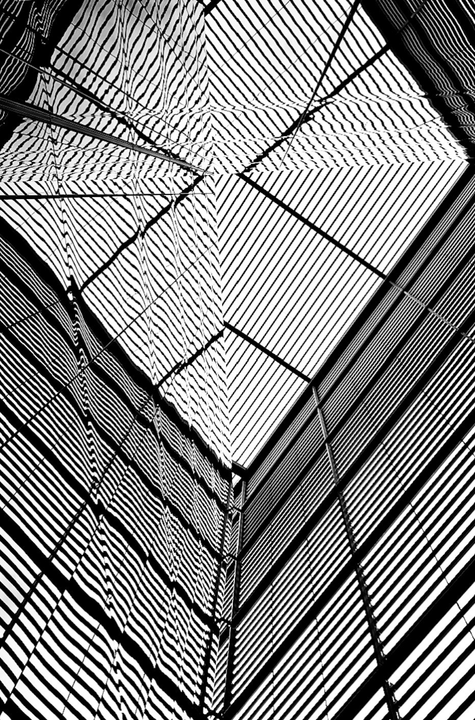 Bw lines