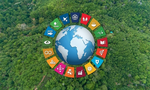 Shutterstock 2572635099